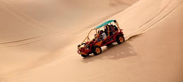 Full Day Tour Ica, Paracas, Islas Ballestas, Oasis de Huacachina y Ruta del Pisco + Almuerzo buggies y sandboarding en el Atardecer